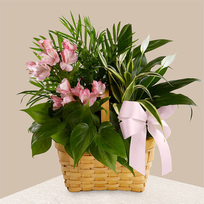 Living Spirit Dishgarden – GEHRKE FLORAL & GREENHOUSES, Mondovi WI