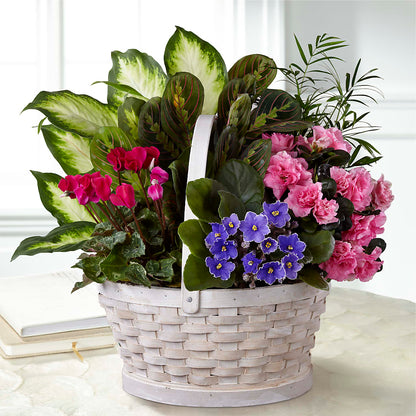 Peaceful Garden Planter – GEHRKE FLORAL & GREENHOUSES, Mondovi WI