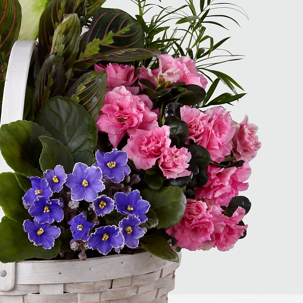 Peaceful Garden Planter – GEHRKE FLORAL & GREENHOUSES, Mondovi WI
