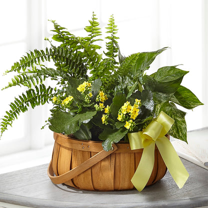 Always Dear Dishgarden – GEHRKE FLORAL & GREENHOUSES, Mondovi WI