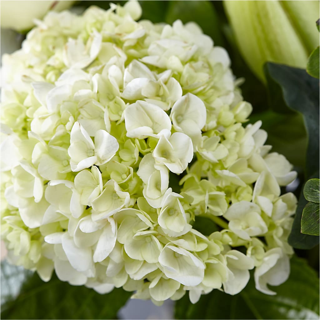 Classic Ivory – A Florist Original – GEHRKE FLORAL & GREENHOUSES, Mondovi WI