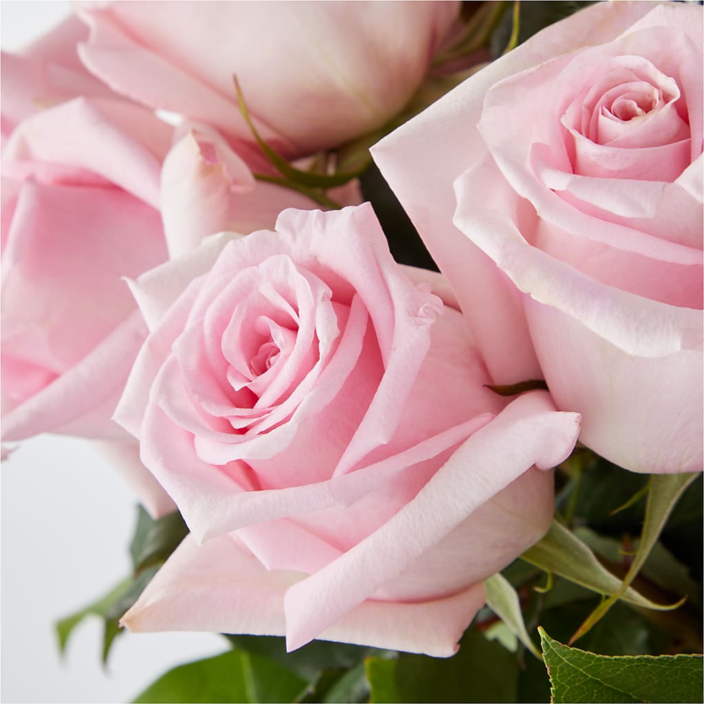 Picture Perfect Pink Rose Bouquet – GEHRKE FLORAL & GREENHOUSES, Mondovi WI