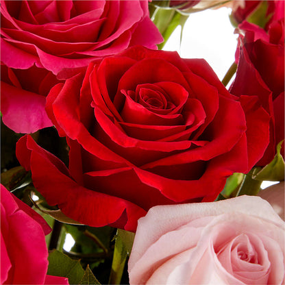 Love Notes Rose Bouquet – GEHRKE FLORAL & GREENHOUSES, Mondovi WI