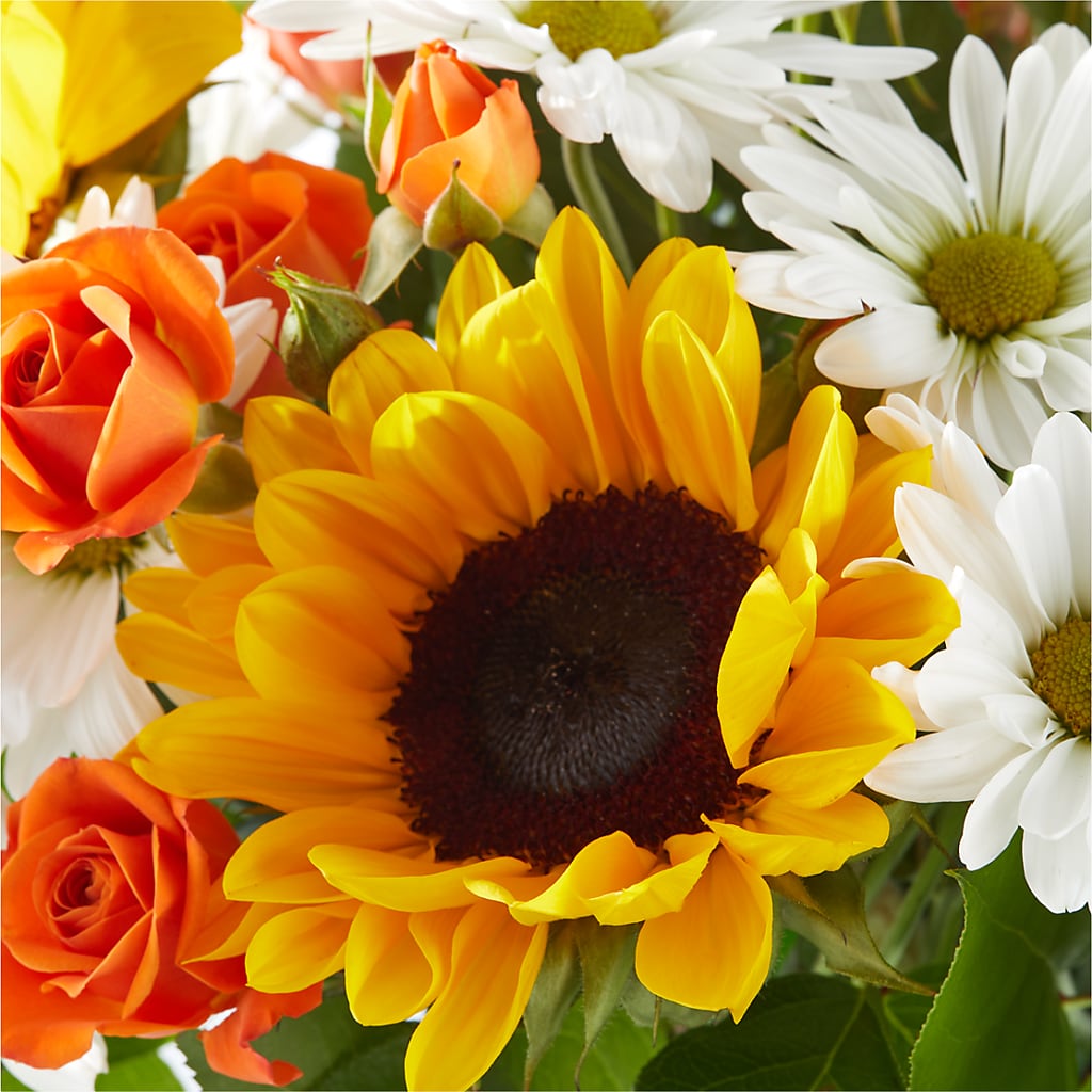 Sun-drenched Blooms Bouquet – GEHRKE FLORAL & GREENHOUSES, Mondovi WI