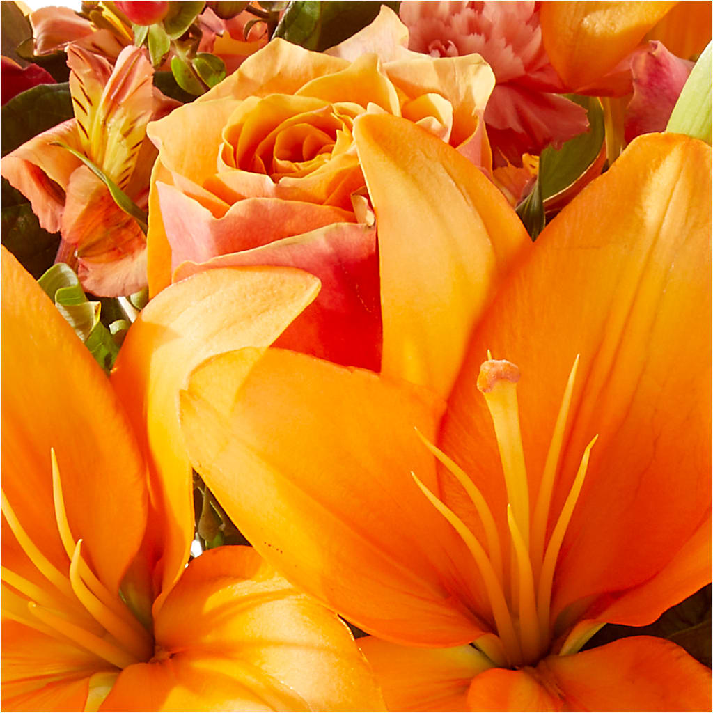 Afternoon Light Bouquet – GEHRKE FLORAL & GREENHOUSES, Mondovi WI