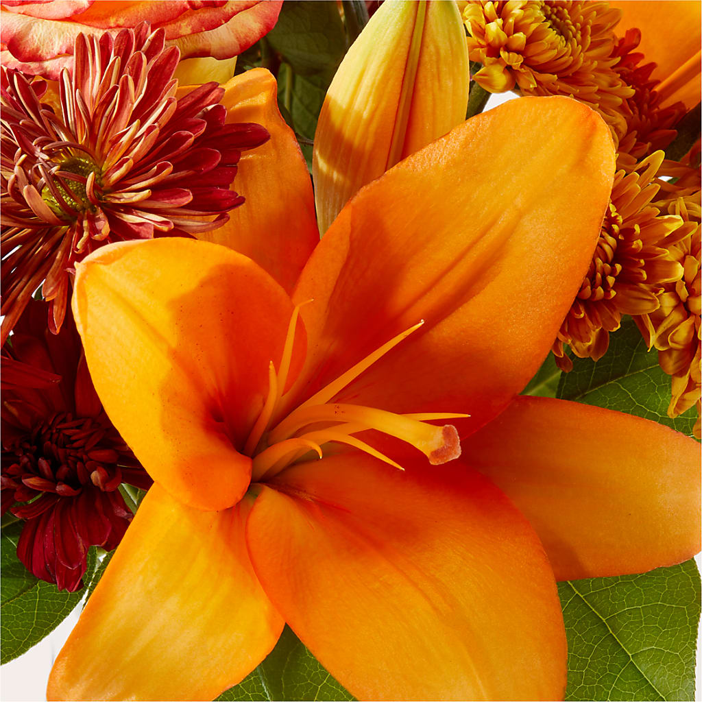 Autumnal Aroma Bouquet – GEHRKE FLORAL & GREENHOUSES, Mondovi WI