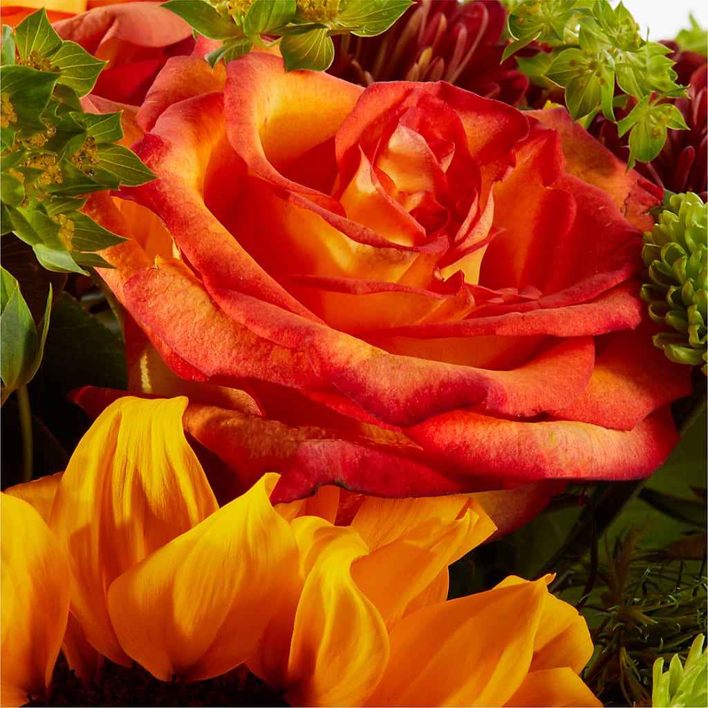 Harvest Festival Bouquet – GEHRKE FLORAL & GREENHOUSES, Mondovi WI