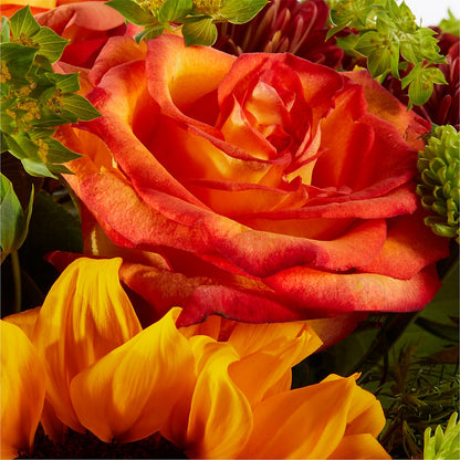 Harvest Festival Bouquet – GEHRKE FLORAL & GREENHOUSES, Mondovi WI
