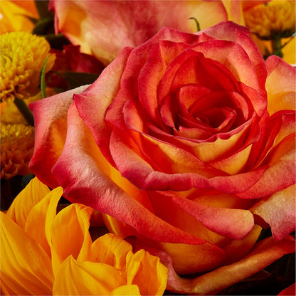 Picnic in the Park Bouquet – GEHRKE FLORAL & GREENHOUSES, Mondovi WI