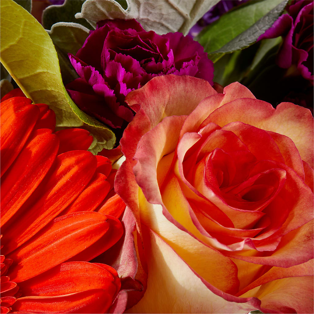 Sangria Bouquet – GEHRKE FLORAL & GREENHOUSES, Mondovi WI
