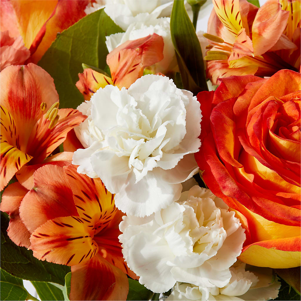 Apricot Glow Bouquet – GEHRKE FLORAL & GREENHOUSES, Mondovi WI