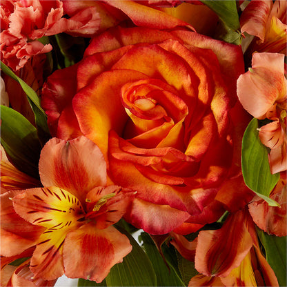 Apricot Glow Bouquet – GEHRKE FLORAL & GREENHOUSES, Mondovi WI