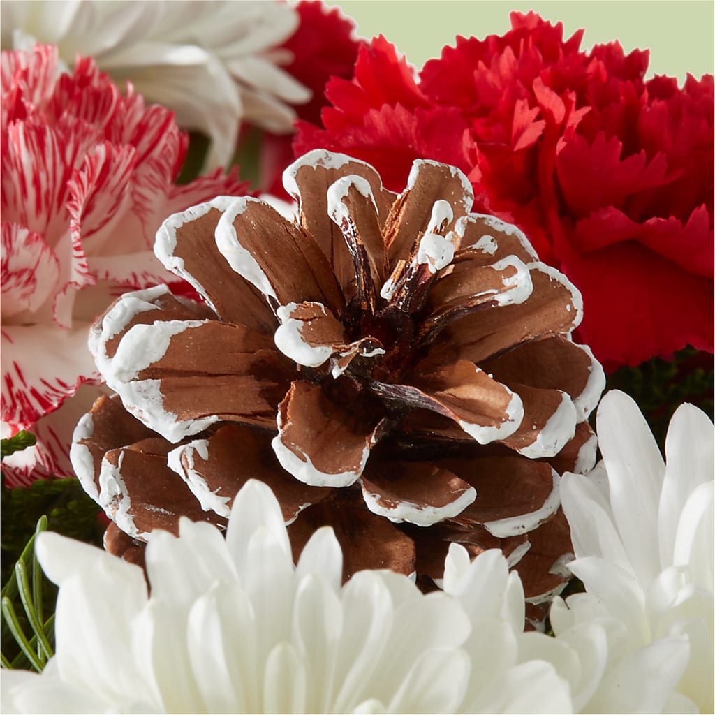 Candy Cane Lane Bouquet – GEHRKE FLORAL & GREENHOUSES, Mondovi WI
