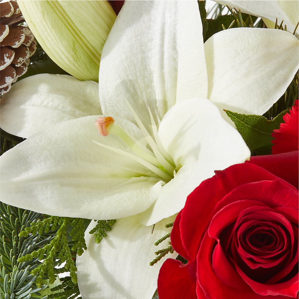 Oh So Jolly Bouquet – GEHRKE FLORAL & GREENHOUSES, Mondovi WI