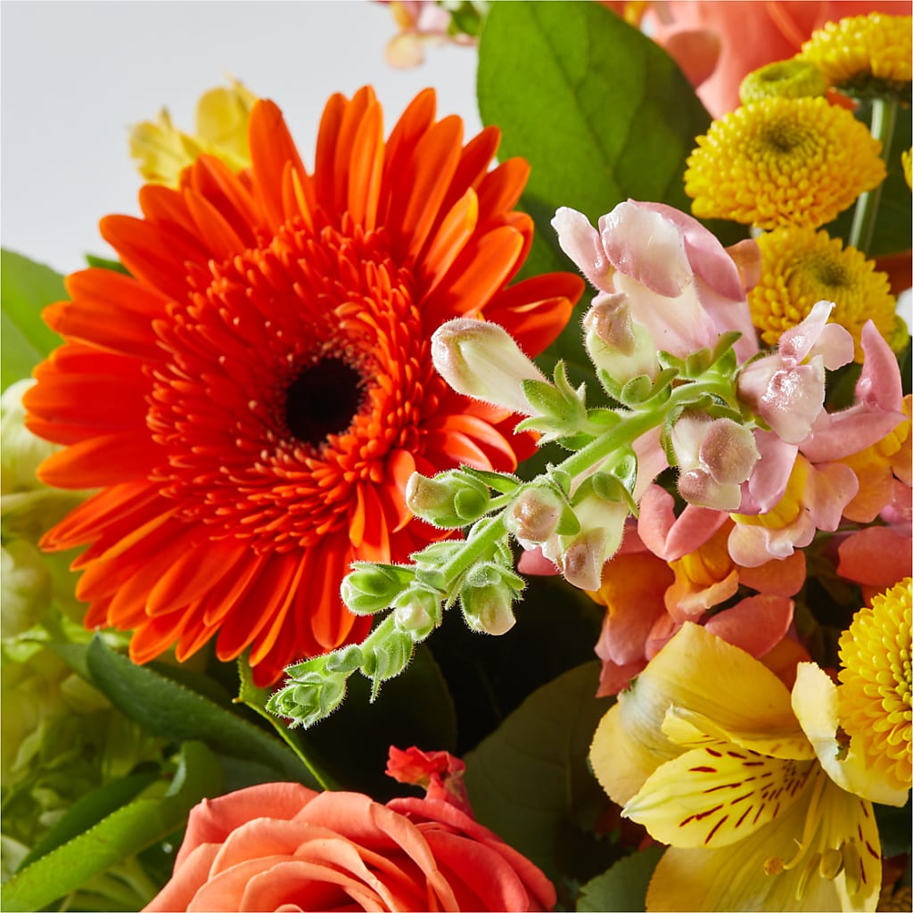 Autumn Sunshine Bouquet – GEHRKE FLORAL & GREENHOUSES, Mondovi WI