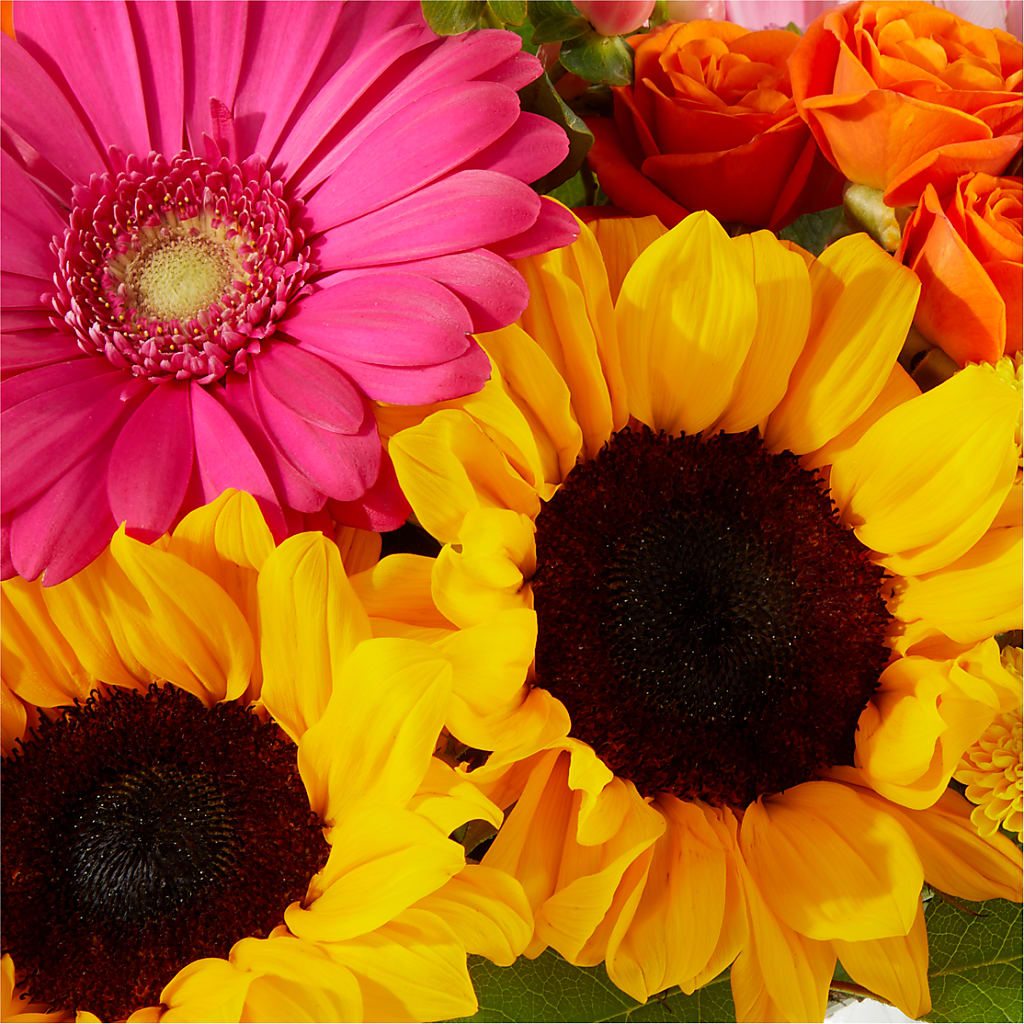 Beach Day Bouquet – GEHRKE FLORAL & GREENHOUSES, Mondovi WI
