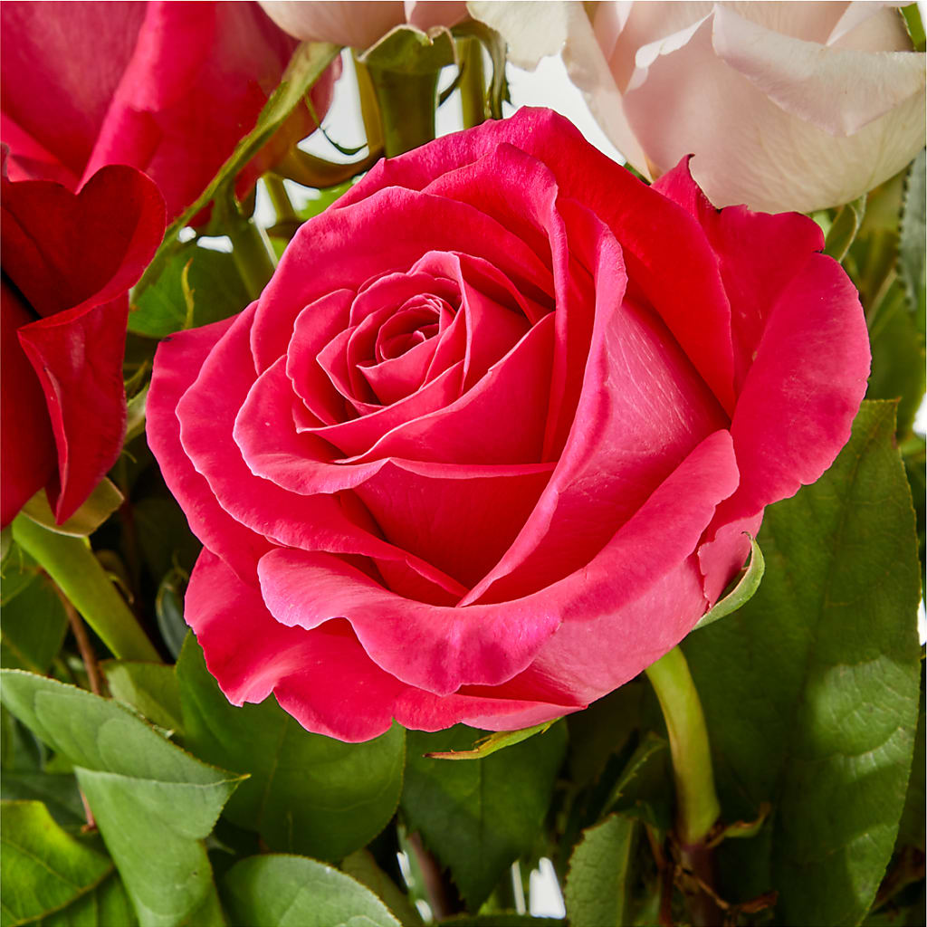 Charming Rose Bouquet – GEHRKE FLORAL & GREENHOUSES, Mondovi WI