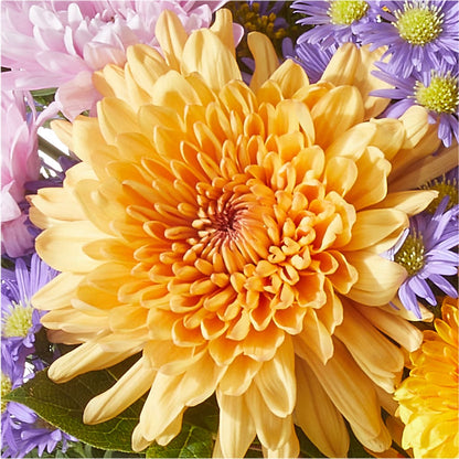 Countryside Bouquet – GEHRKE FLORAL & GREENHOUSES, Mondovi WI