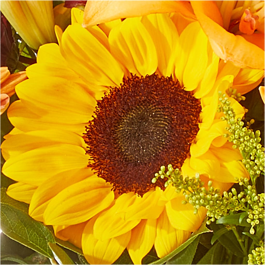 Seasons Change Bouquet – GEHRKE FLORAL & GREENHOUSES, Mondovi WI