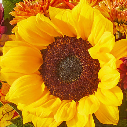 Sunny Side Bouquet – GEHRKE FLORAL & GREENHOUSES, Mondovi WI