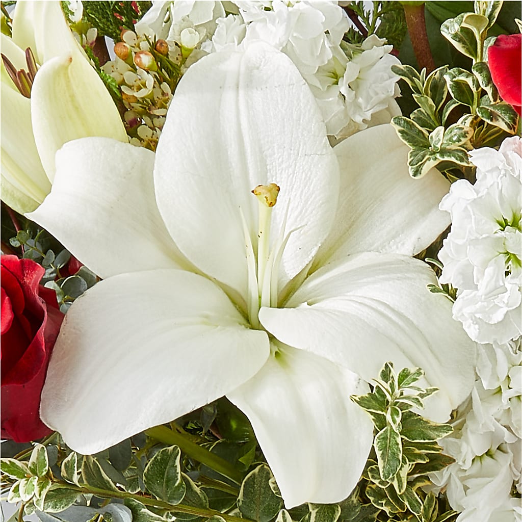 Twinkle Lights Bouquet – GEHRKE FLORAL & GREENHOUSES, Mondovi WI