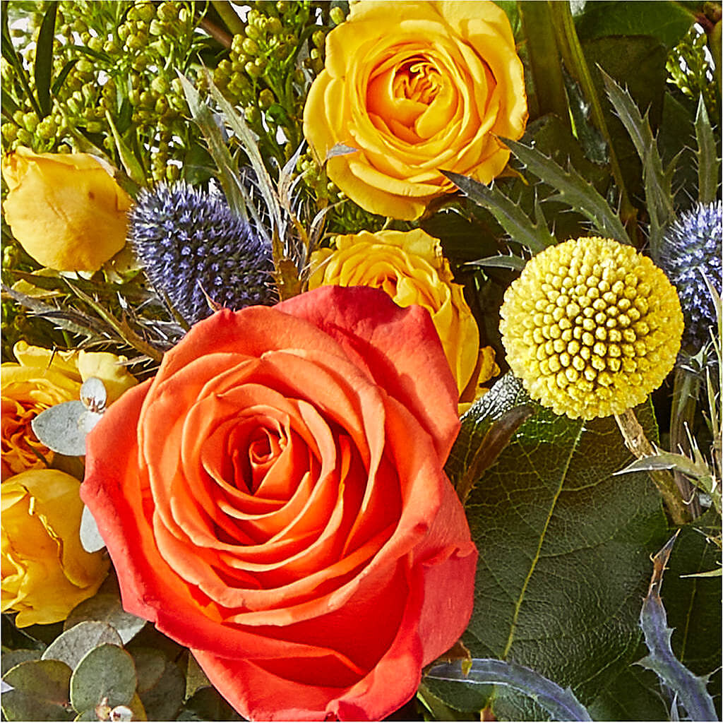 Disco Bouquet – GEHRKE FLORAL & GREENHOUSES, Mondovi WI