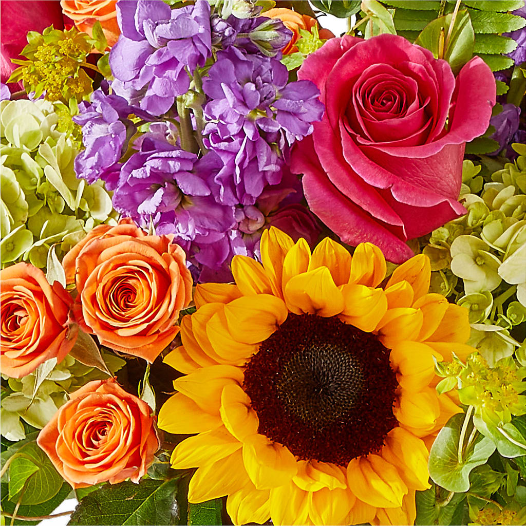 Vibrant Greetings Bouquet – GEHRKE FLORAL & GREENHOUSES, Mondovi WI