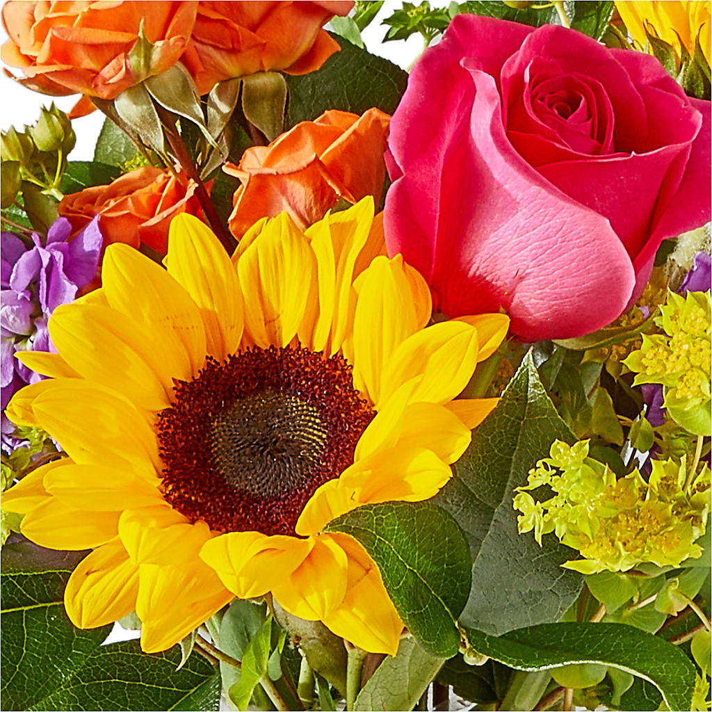 Vibrant Greetings Bouquet – GEHRKE FLORAL & GREENHOUSES, Mondovi WI