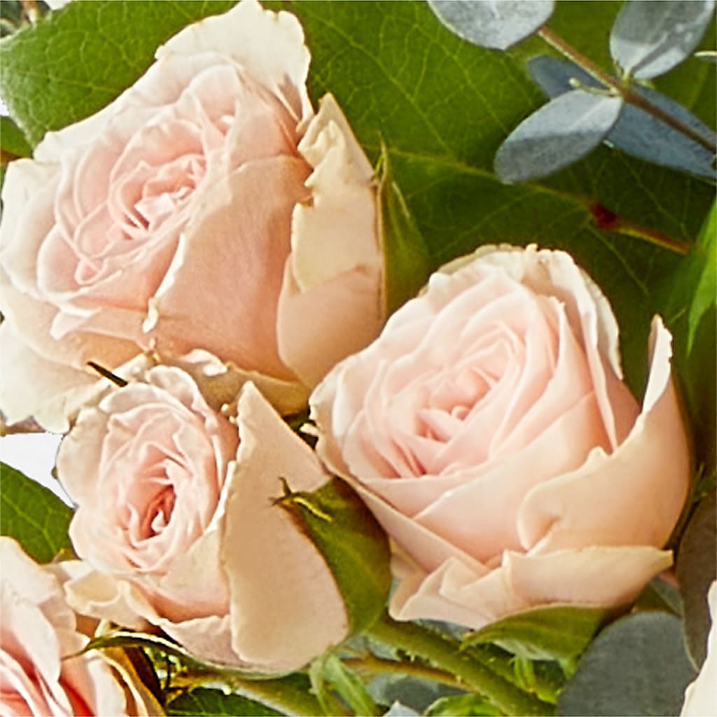Inspired Bouquet – GEHRKE FLORAL & GREENHOUSES, Mondovi WI