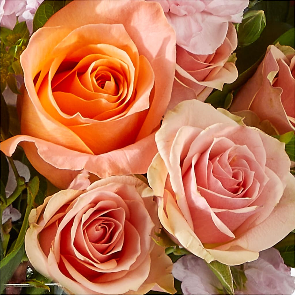 French Market Bouquet – GEHRKE FLORAL & GREENHOUSES, Mondovi WI