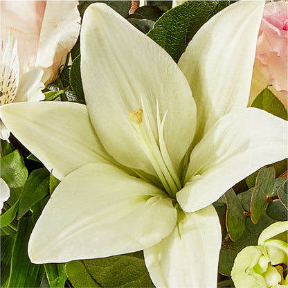 Ballet Slippers Bouquet – GEHRKE FLORAL & GREENHOUSES, Mondovi WI