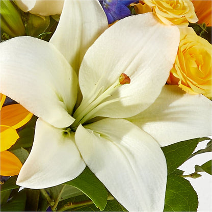 Wonderfully Sunny Bouquet – GEHRKE FLORAL & GREENHOUSES, Mondovi WI