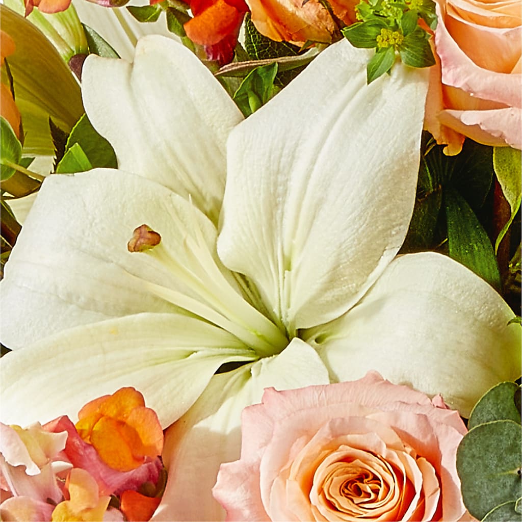 Grapefruit Splash Bouquet – GEHRKE FLORAL & GREENHOUSES, Mondovi WI
