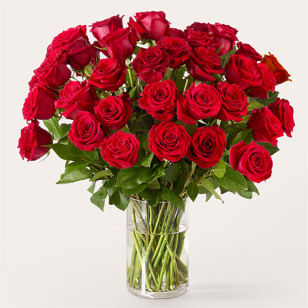 The One Red Rose Bouquet – GEHRKE FLORAL & GREENHOUSES, Mondovi WI
