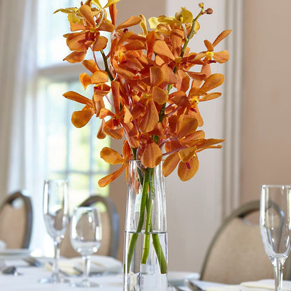 Orange Mokara Bud Vase – GEHRKE FLORAL & GREENHOUSES, Mondovi WI
