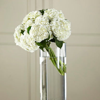 White Hydrangea Hand-Tied Bouquet – GEHRKE FLORAL & GREENHOUSES, Mondovi WI