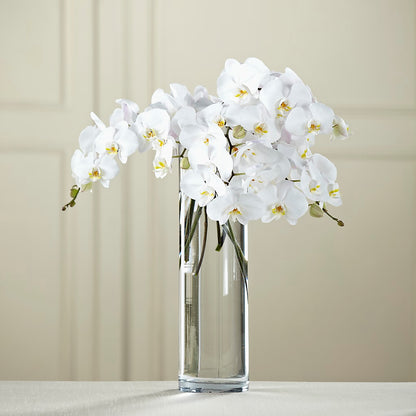 White Phalaenopsis Bouquet – GEHRKE FLORAL & GREENHOUSES, Mondovi WI